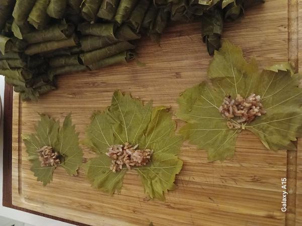 Sarma3