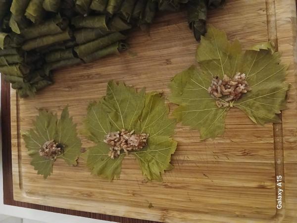 Sarma4